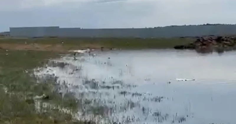 БҚО да тазарту қондырғысы жанында кәріз суы далаға ағып жатыр