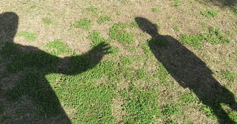 Түркістанда немересін зорлады деген күдікпен нағашы атасы тергеліп жатыр