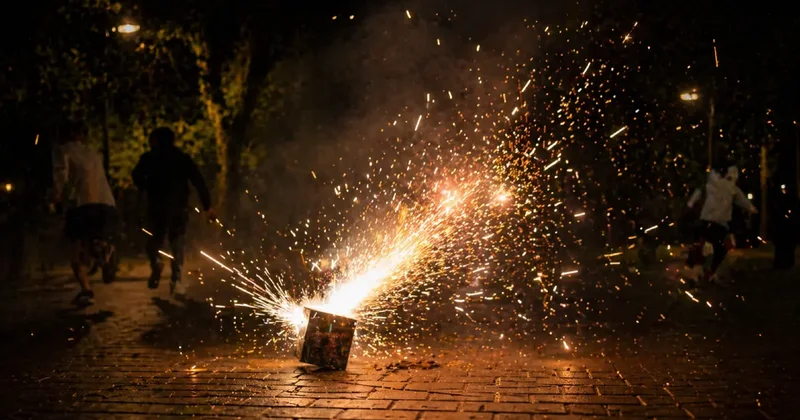 Фейерверк в парке полетел в сторону людей: полиция Алматы ищет участников инцидента