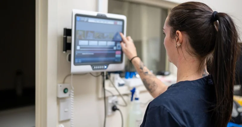 Кто будет отвечать за диагнозы, которые выставят ИИ помощники врачей, ответили в Минцифры