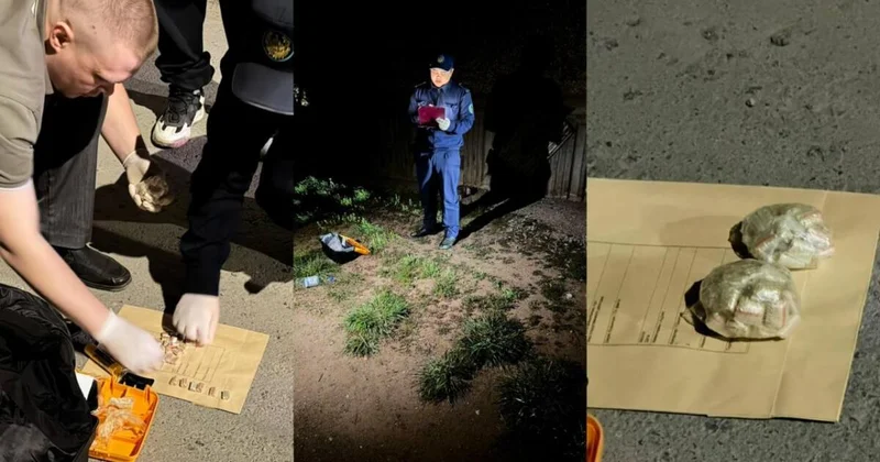 Павлодарда ірі есірткі арнасы жойылды: мыңнан астам доза тәркіленді