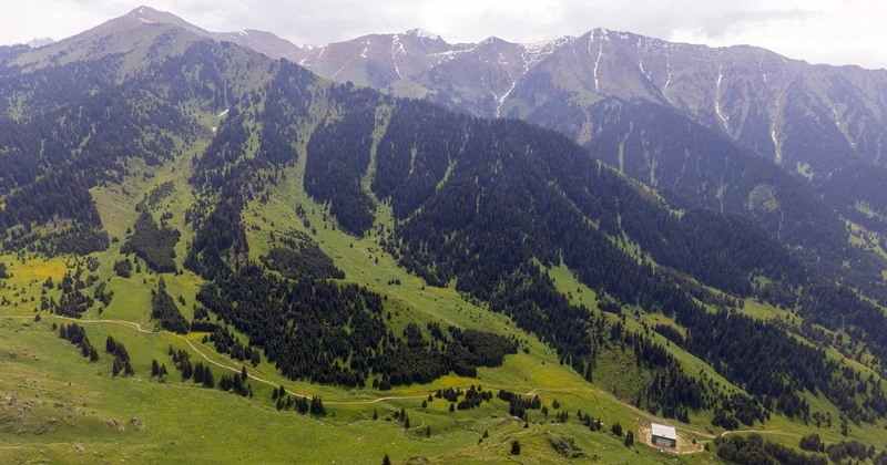 Алматыда жаңа арқан жолдардың құрылысы үшін жер телімдері алынады