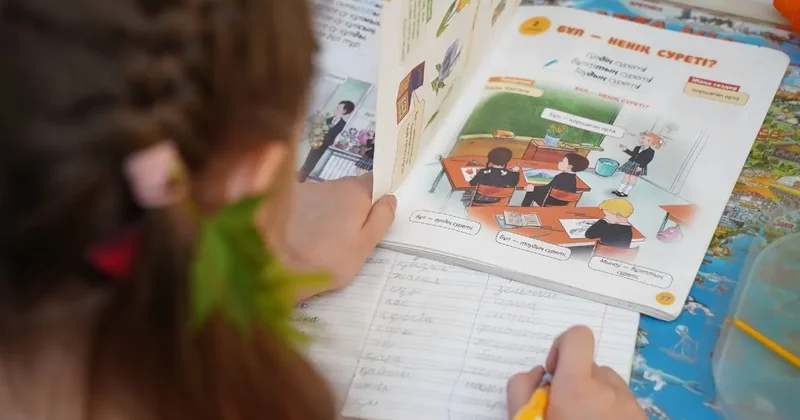 Қазақстанда мектепті аудан әкімдігінің құзырына беруге қарсы петиция жарияланды