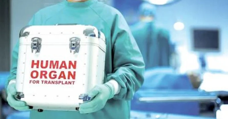 Очередь за жизнью