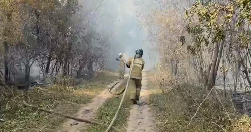 Огнеборцы продолжают тушить пожар в Ханской роще