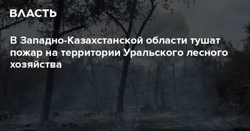 В Западно Казахстанской области тушат пожар на территории Уральского лесного хозяйства Аналитический интернет журнал Власть