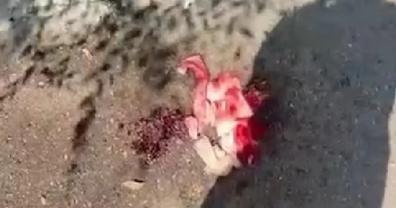 Кусок льда сбросили из многоэтажки на голову жительницы Павлодара, полиция проводит проверку