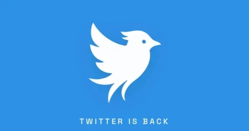 Заработал новый Twitter вопреки воле Илона Маска