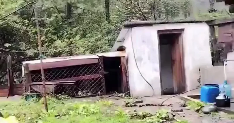 Непалдағы су тасқыны мен көшкін 20 дан астам адамның өмірін қиды видео