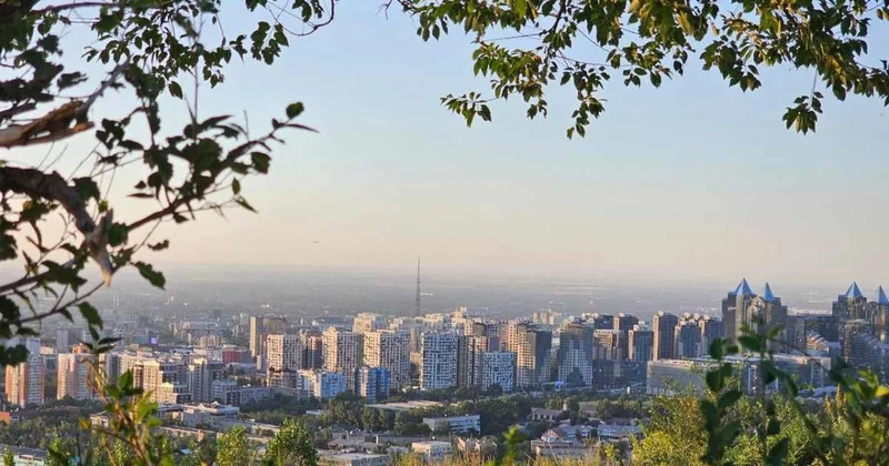 60% выбросов из за автотранспорта: правила охраны атмосферного воздуха принимают в Алматы