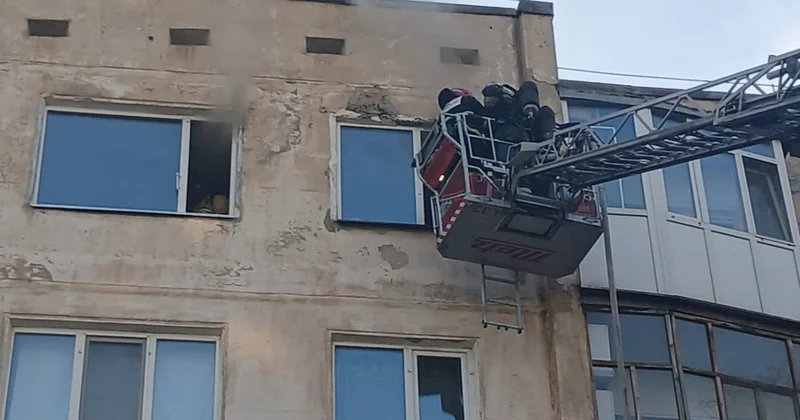 Пожарные реанимировали кошку в Кокшетау (ВИДЕО)