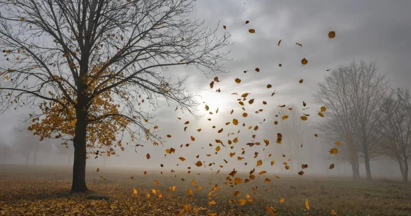 Жаңбыр мен жел: 28 қазан күнгі ауа райы болжамы