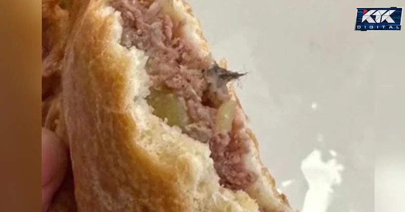 Похоже на шерсть мыши: школьную столовую закрыли в Семее после находки в еде