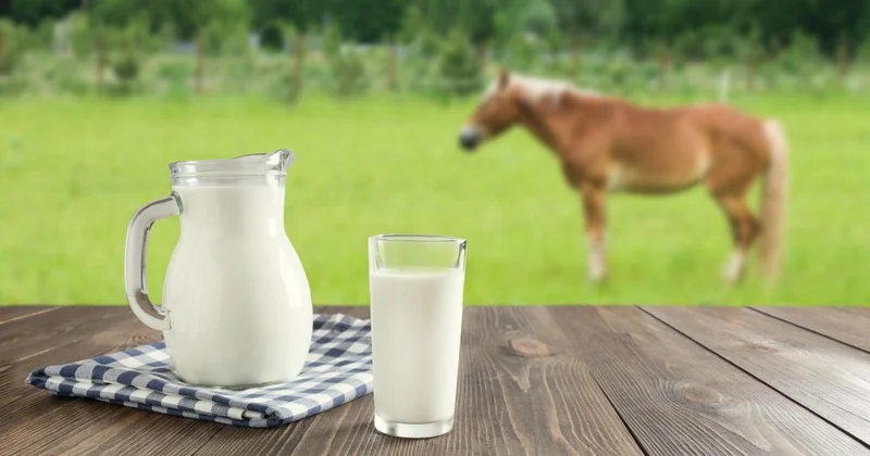 Казахстанские ученые разработали аппарат для переработки молока