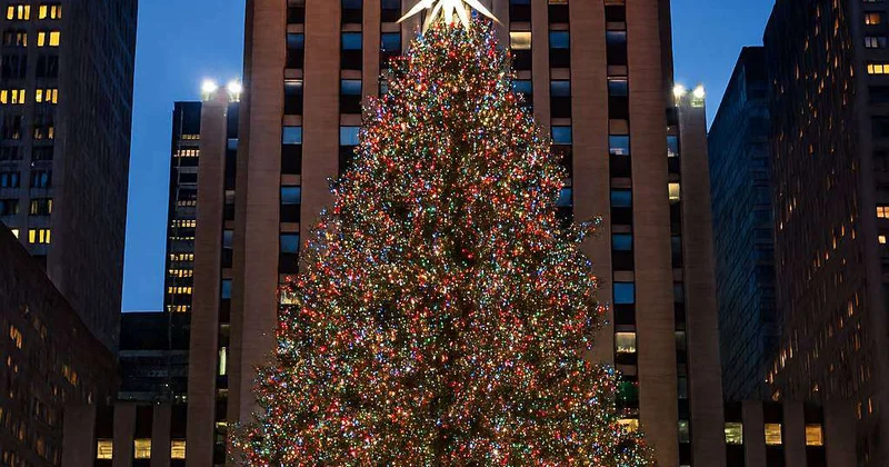 В США выбрали рождественскую елку