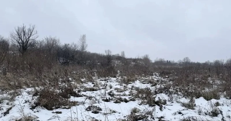 16 летнюю школьницу нашли замерзшей насмерть на пустыре