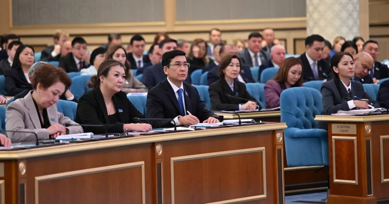 Шағын және орта бизнестің жалпы ішкі өнімдегі үлесі 40 пайызға жетті Президент