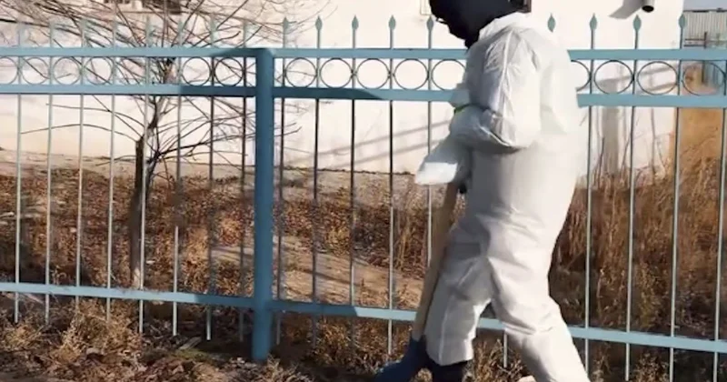 Алмалы ауылында дезинсекция жұмыстарының 80% ы аяқталды