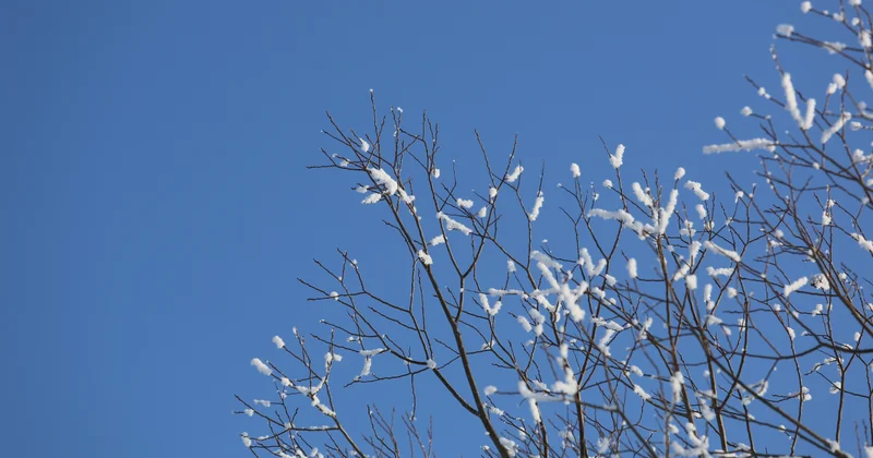 Какая погода будет на выходных в Казахстане