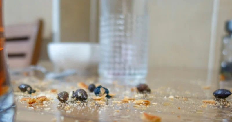 Жуки в макаронах и сырая выпечка: родители Петропавловска бьют тревогу