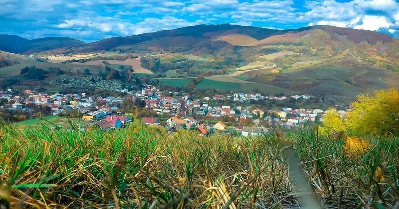 Токаев предлагает освобождать сельских акимов от работы по волеизлиянию населения