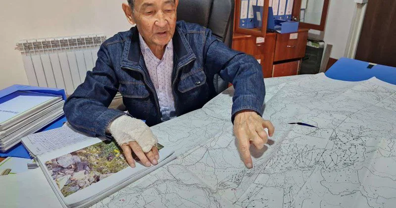 Сила местных трав