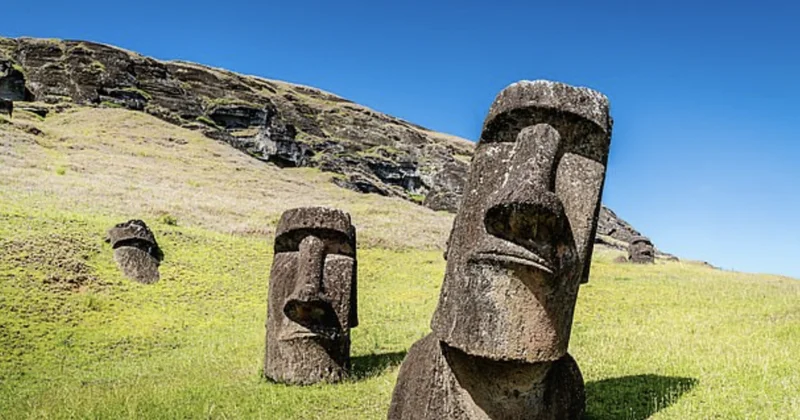 Ученые раскрыли тайну создания статуй острова Пасхи
