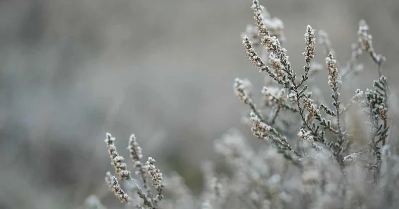 Холодно и ветрено будет в Шымкенте в выходные