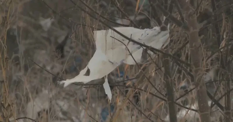 Өскемен қоқыс полигонынсыз қалуы мүмкін