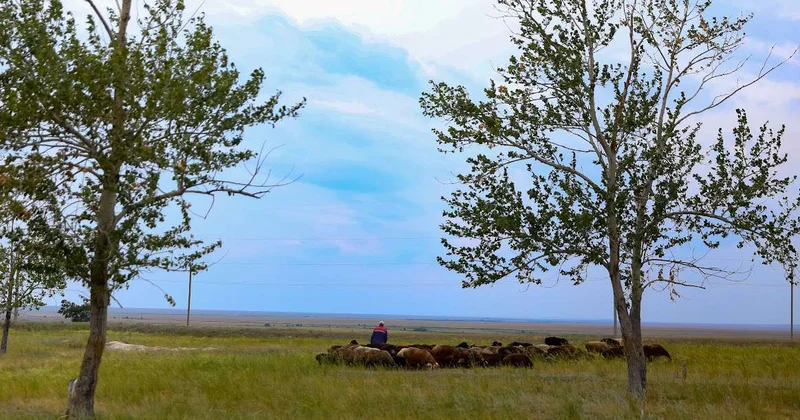 Токаев: Положение дел на селе вопрос стратегической важности для Казахстана