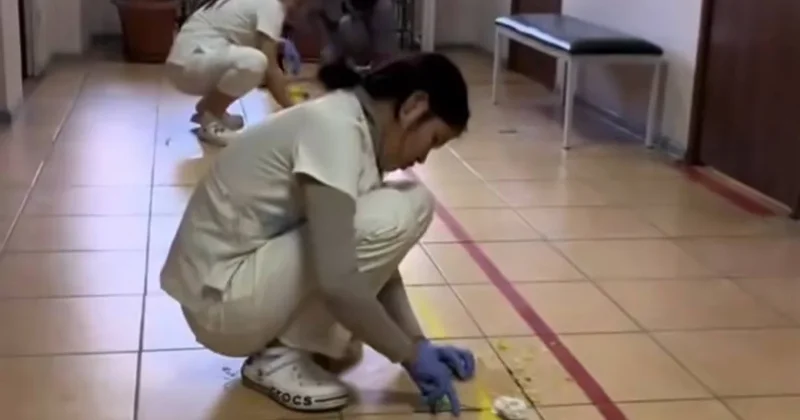 Казахстанцев возмутило, что будущие врачи вместо практики выполняют уборку