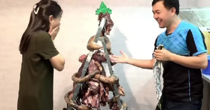 Елка из казы: казахстанская романтика 30+ взорвала соцсети