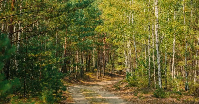 Территорию в 15 тысяч га отнесут к санитарно защитной зоне в Астане: что это значит для жителей