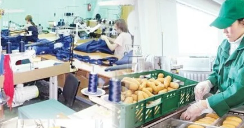 СҚО дағы шағын және орта бизнестің жартысына жуығын әйелдер басқарады