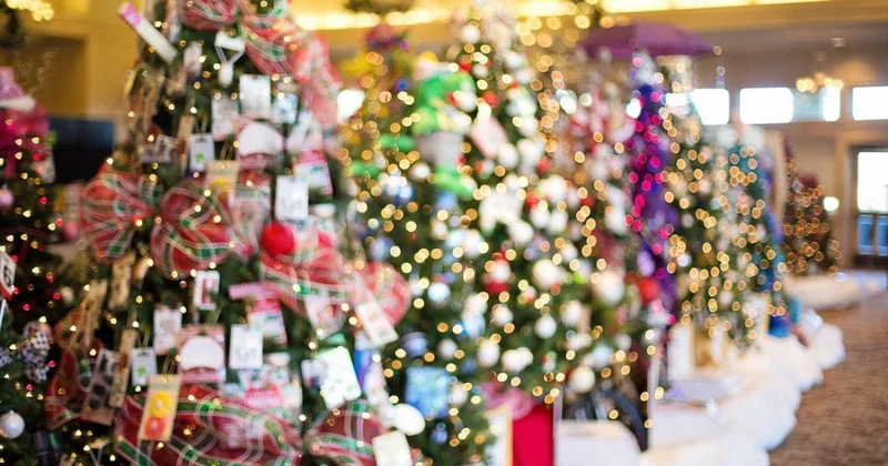 Биыл жаңажылдық шырша қаншадан сатылып жатыр?