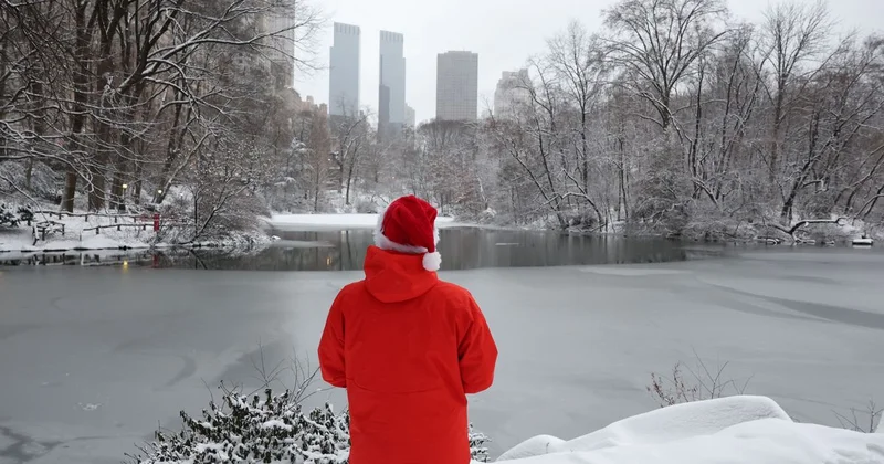 Отличный день для зачатия ребенка : почти 10 тысяч рейсов отменили в США из за снежной бури (видео)