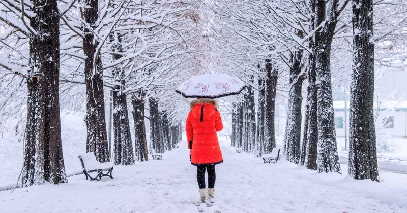 Какие города Казахстана парализует гололед и туман 29 декабря