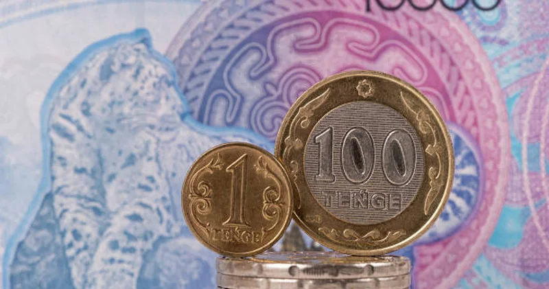 Қарыздан шығу жолы: қаржылық тәртіпке арналған кеңес