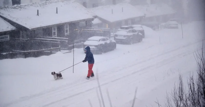 Зимний шторм спровоцировал блэкаут в Скандинавии: есть погибшие