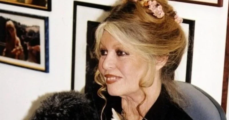 Умерла культовая французская актриса Брижит Бардо