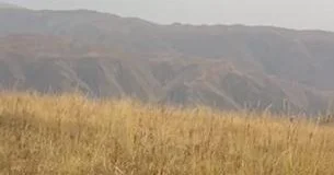 Үкімет жұмыс істеп тұрған шаруа қожалықтардың жерін лизингке сату ұсынысын қолдамады