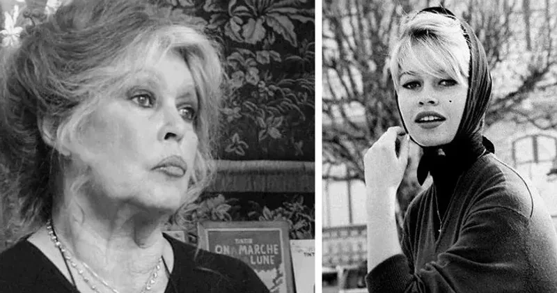 Француз киносының аңыз тұлғасы Брижит Бардо дүниеден озды