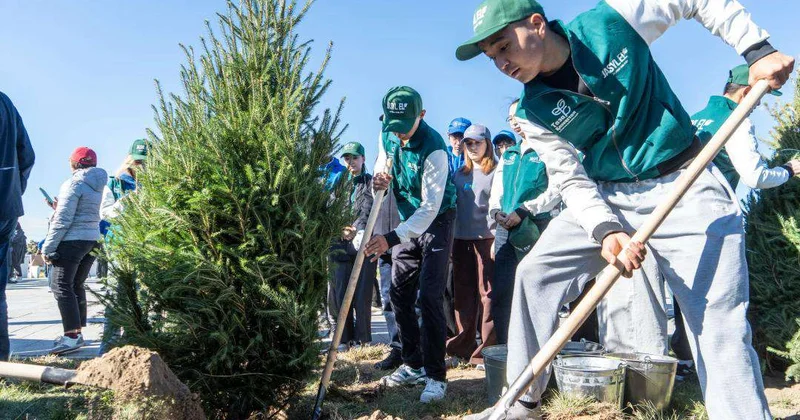 В Талдыкоргане посадят 15 тыс. деревьев