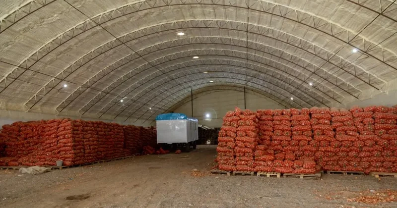 Казахстанские фермеры не могут продать урожай лука даже по минимальной цене