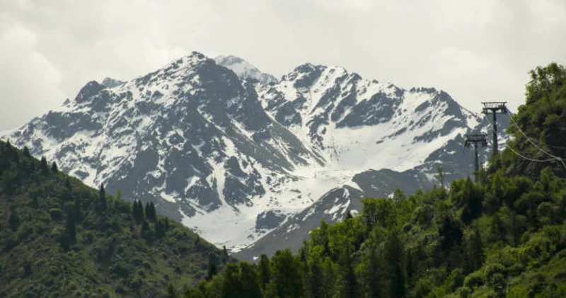 Алматы тауларында жоғалған бес жасөспірім құтқарылды
