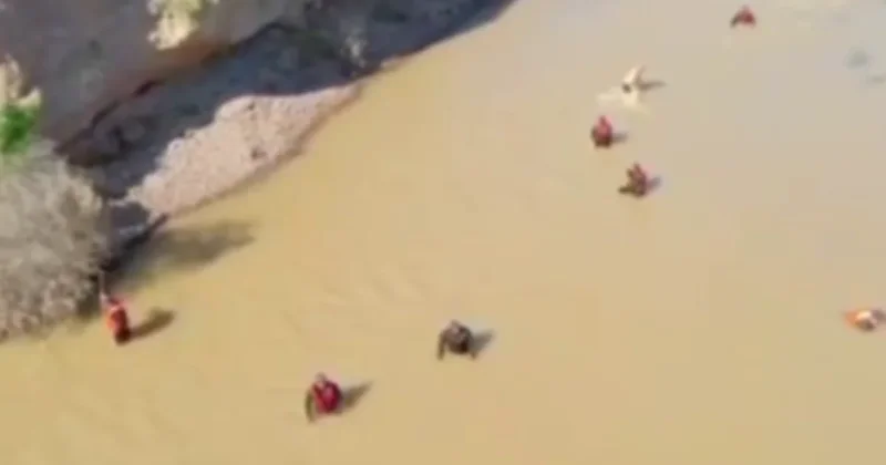 В Туркестанской области продолжаются масштабные поиски утонувшего ребёнка