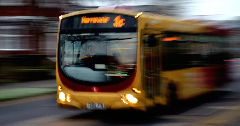 Бесплатный проезд в Павлодаре: кто и как может оформить льготную карту