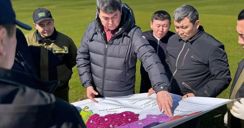 Түркістан облысында шегірткемен күреске дайындық қалай жүріп жатыр