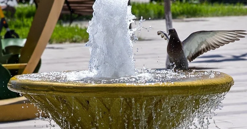 После жары +30 Шымкент накроют ливни, грозы и шквал