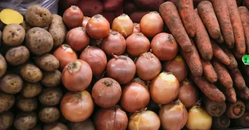 В Алматинской области фермеры не могут продать тонны прошлогоднего лука